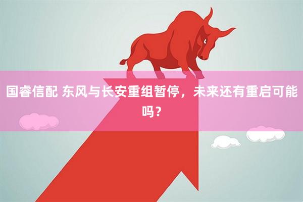 国睿信配 东风与长安重组暂停，未来还有重启可能吗？