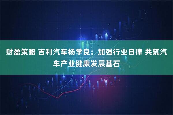 财盈策略 吉利汽车杨学良：加强行业自律 共筑汽车产业健康发展基石