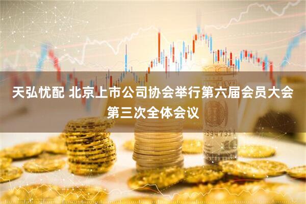 天弘忧配 北京上市公司协会举行第六届会员大会第三次全体会议
