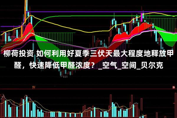 柳荷投资 如何利用好夏季三伏天最大程度地释放甲醛，快速降低甲醛浓度？_空气_空间_贝尔克