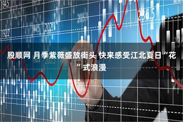 股顺网 月季紫薇盛放街头 快来感受江北夏日“花”式浪漫