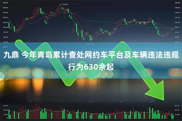 九鼎 今年青岛累计查处网约车平台及车辆违法违规行为630余起