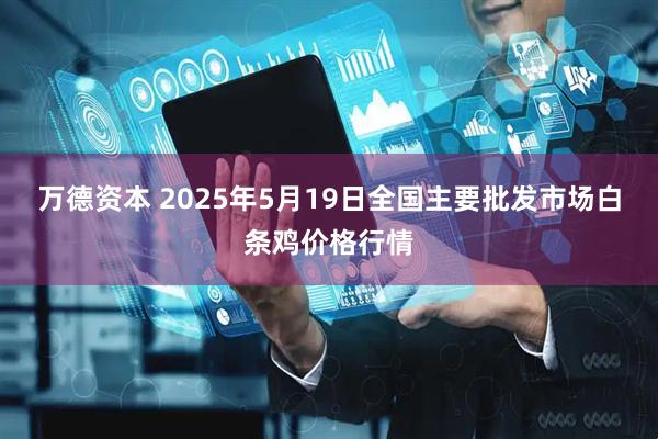 万德资本 2025年5月19日全国主要批发市场白条鸡价格行情